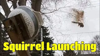 Squirrel Launching  - With Slow Motion -