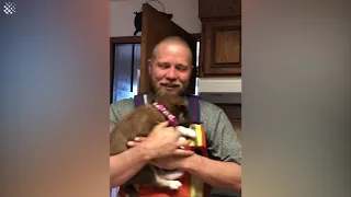 Dad overcome with emotion when surprised with husky puppy