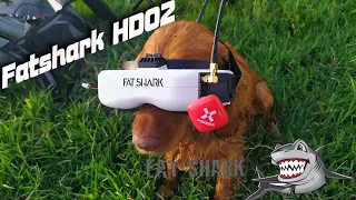 Fatshark HDO2 - Мой отзыв и обзор после 4ех месяцев использования...