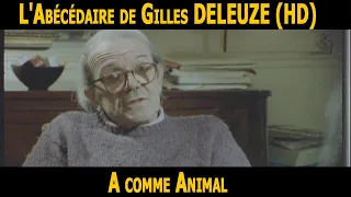 Gilles Deleuze's alphabet book:  A for Animal