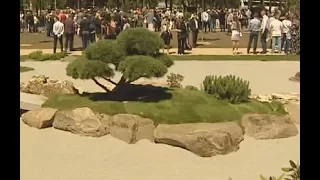 Японский сад камней в Киеве