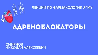 Адреноблокаторы | Медиаторная фармакология