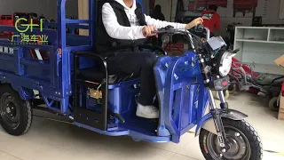 Electric cargo tricycle