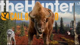 I hunted animals on every map in The Hunter Call of The Wild