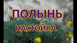 Настойка на полыне