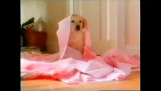 Ultimate Andrex Puppy Advert