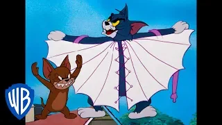 Tom & Jerry | Tom the Cat or Tom the Bird | WB Kids