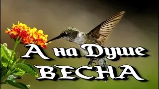 МУЗЫКА ДЛЯ ДУШИ ,,А НА ДУШЕ ВЕСНА ,,Музыка Сергей Грищук