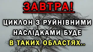 ПОГОДА НА ЗАВТРА : ПОГОДА НА 8 СІЧНЯ