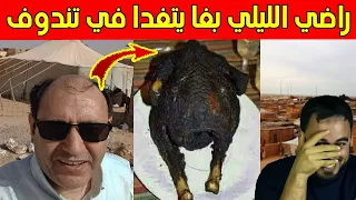 الراضي الليلي مشا لمحلبة في تندوف شوف أش لقى تما