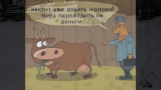 БЫК УШЁЛ НА МЯСО.ПРОДАТЬ ИЛИ СДАТЬ МЯСНИКАМ.