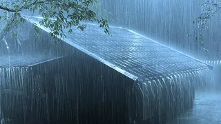 Relieve Stress Immediately to Sleep Soundly with Heavy Rain & Thunder Sounds on a Tin Roof at Night