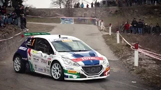 Rally il Ciocco 2018 - Peugeot 208 T16 e Paolo Andreucci - HIGHLIGHTS