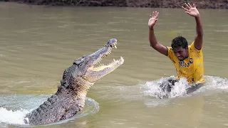 Crocodile Attack Man | Crocodile Attack Man fun made Movie