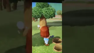 Planting Flowers on animal crossing