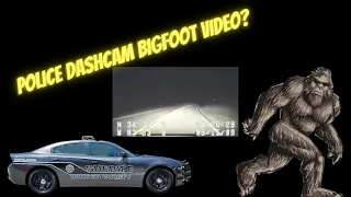 Bigfoot Dashcam Video   Police Video does it show Bigfoot