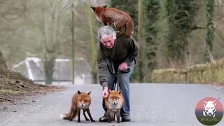 Old Man Saved a Baby Fox, then Her Mom Did Something Unbelievable