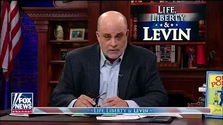 'It's Time to Stand Up': Levin Says Midterms Come Down to 'Cultural Battle'