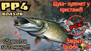 РР4. Волхов. Супер клев Щуки на Волхове с пристани!!! Шанс на трофей!?