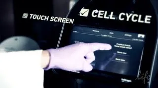 Cell Cycle Analysis with Tali® Image-Based Cytometer