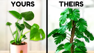 7 Things Plant Experts Do That You Probably Don't