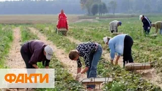 В Украине отменяют государственные дотации для аграриев: последствия и что говорят фермеры