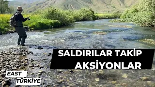 FISHING - FISH ATTACKS 2 - GREAT WILD TROUT FISHING COMPILATIONS IN THE Stream - AVLAK 2020-2023