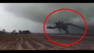 Top 10 Mysterious Giant Monster Creatures Caught on Tape