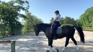 Rolo And Elise - First Level Test 3