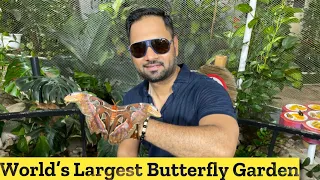 Why Its Worth To Visit WORLD'S LARGEST Butterfly Garden in DUBAI. Irfan Shaikh Dubai Vlog