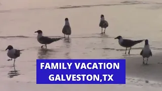 Spring Break 2021, Galveston, TX Family Vacation