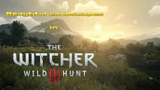 Beautiful Realistic Landscapes in The Witcher 3 | Free Background Videos