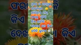 Sadhubani || Ajira Anuchinta || #motivational #chanakyaniti #shorts #attitude #rashmitagk #odia