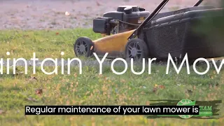 The Art of Mowing Your Lawn: Tips to the Perfect Lawn. #SaveYourGreen