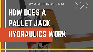 Pallet Jack Hydraulic System Explained | How Pallet Jack Hydraulics Work | Hydraulic Basics