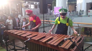 Marimba 연주 (인어공주OST - Under the sea) in Lotte world tower