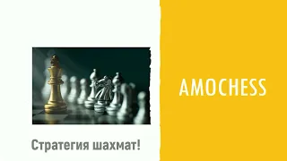 Компенсация за пешечные слабости 2 - фрагмент из лекции.