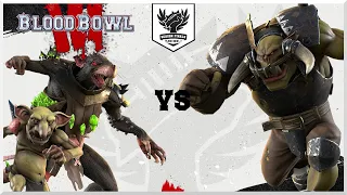 Blood Bowl 3 - MuminSlayer v Enarion Official Cast (Season Finals LB 3)