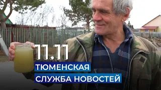 Тюменская служба новостей - вечерний выпуск 11 ноября