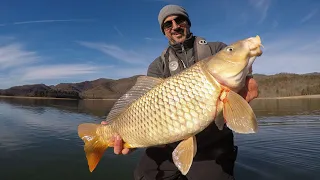 Giant Carp EATS a Blade Bait!!! (Early Winter Bass Fishing)