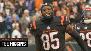 Tee Higgins Has Emerged As A Star in 2021 | Cincinnati Bengals