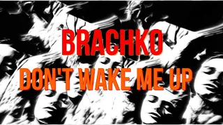 Brachko ~ Don't wake me up