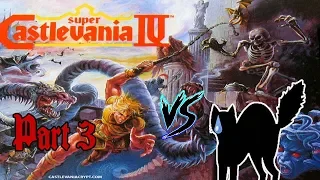 Black Cat VS Super Castlevania IV Part 3 "Dracula's Castle already?"