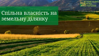 Спільна власність на земельну ділянку/ЗФУ