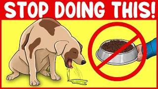 10 Harmful Things You Do To Your Dog Without Realizing It