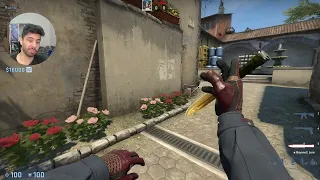 Which Banana Molotov is Better?