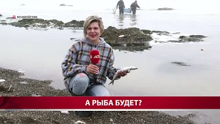 А рыба будет?