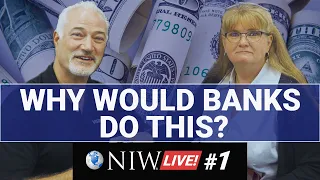 Why Would the Banks Fund Kai-Zen?, Too Good to be True? | NIW Live! #1