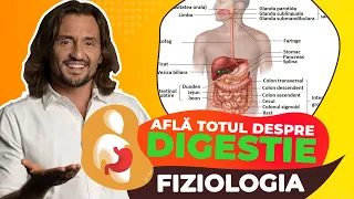 Digestia de la A la Z [Află cum funcționează!]