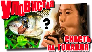 Уловистая снасть на голавля #ловляголавля #голавль #снасти